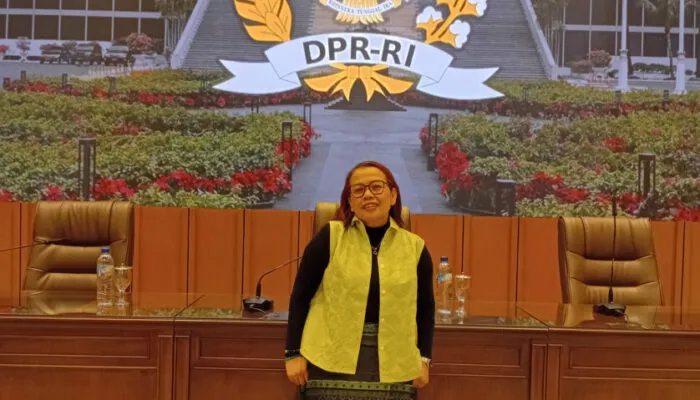 Direktur SEMINDO Ungkap Kendala Pendampingan UMKM