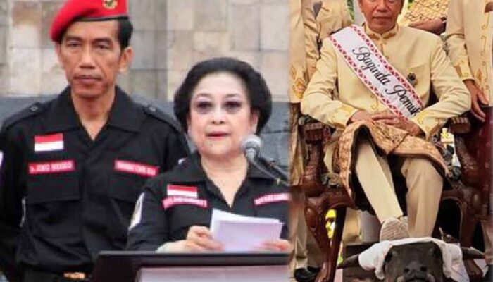 Injak Kepala Kerbau, Keangkuhan Jokowi dan Legenda Malin Kundang