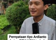 Tiyo Ardianto : Dadan Ketangkap, Naniek Menjadi Kepala Maling Baru