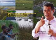 Greenpeace Kritisi Pernyataan Mentan Terkait Rawa Adalah Lahan Tidur Tidak Produktif
