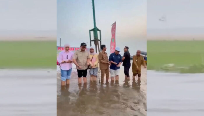 Viral Bupati Kukar Tabur Benih Padi di Air Danau, Metode Tabela Dar dengan Varietas Inpari 32